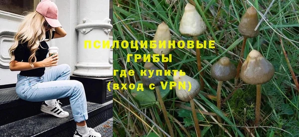 дмт Нефтекумск