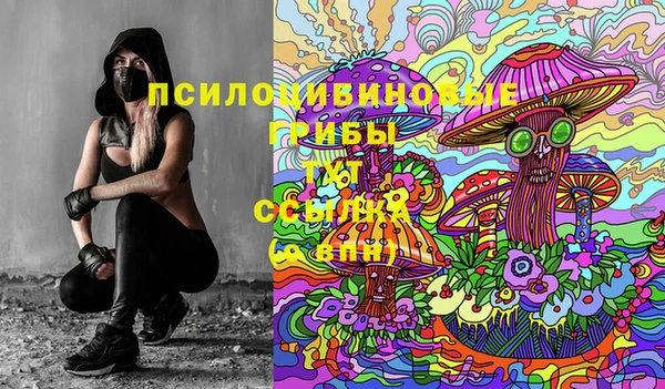 гашик Надым