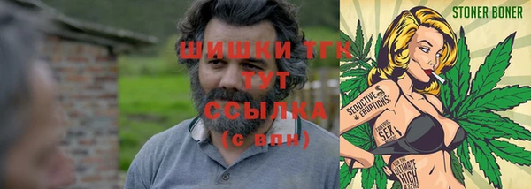стафф Гвардейск