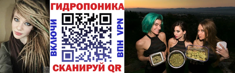 МЕГА онион  купить   нарко площадка формула  Бошки марихуана конопля  Новосиль 